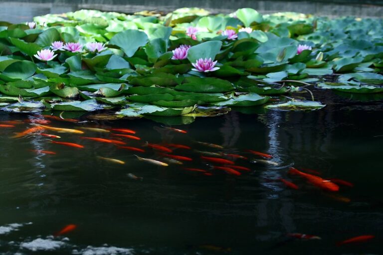 Living by the water and relying on fish is only natural. At the same time, we should develop aquaculture, leverage strengths and offset weaknesses, and enable wild fishing and fish farming to complement and reinforce each other, while also developing tourism in shallow-water areas.